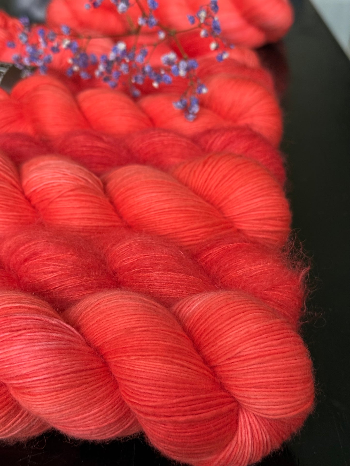 Felicia Single merino Famosa