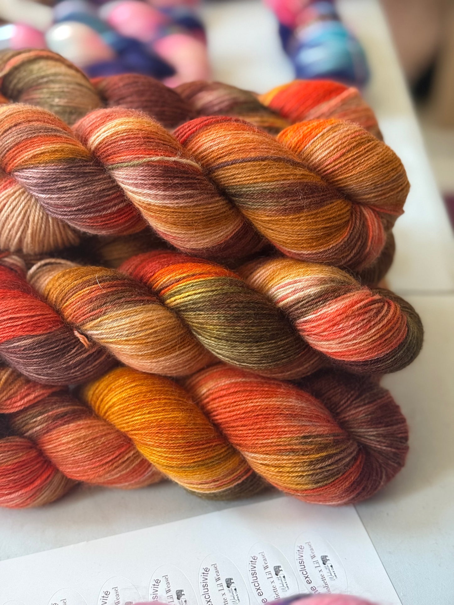 Bleucestre 100% BFL Ambre Saint-Germain