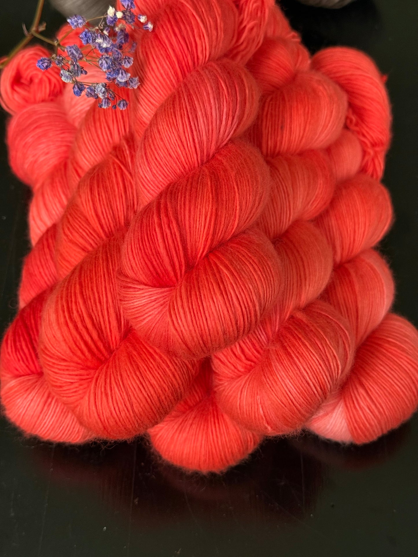 Felicia Single merino Famosa