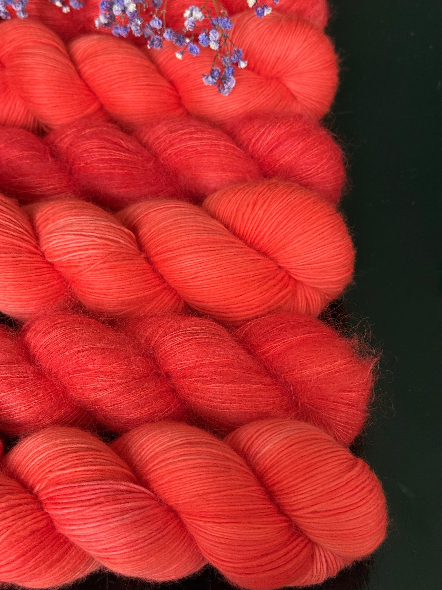 Felicia Single merino Famosa