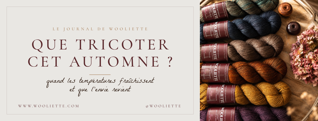 Les températures fraîchissent : que tricoter cet automne ?