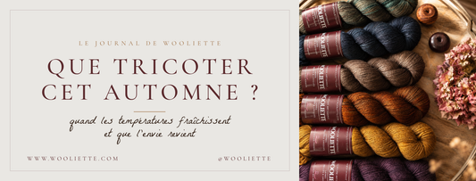 Les températures fraîchissent : que tricoter cet automne ?