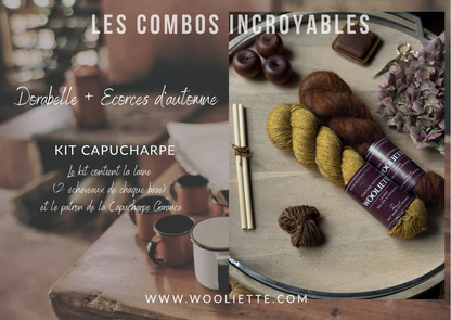 Kit laine et patron Capucharpe Garance base Yalux + Mohair