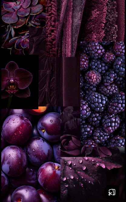 Fingering Portofino Prunelle