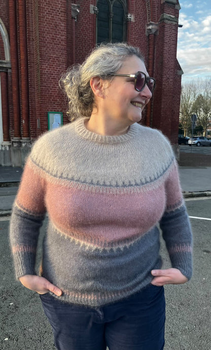 Patron Tricot Pull Brunelle Français PDF