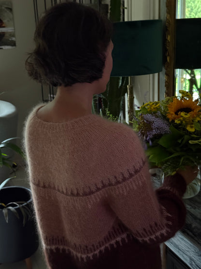 Patron Tricot Pull Brunelle Français PDF