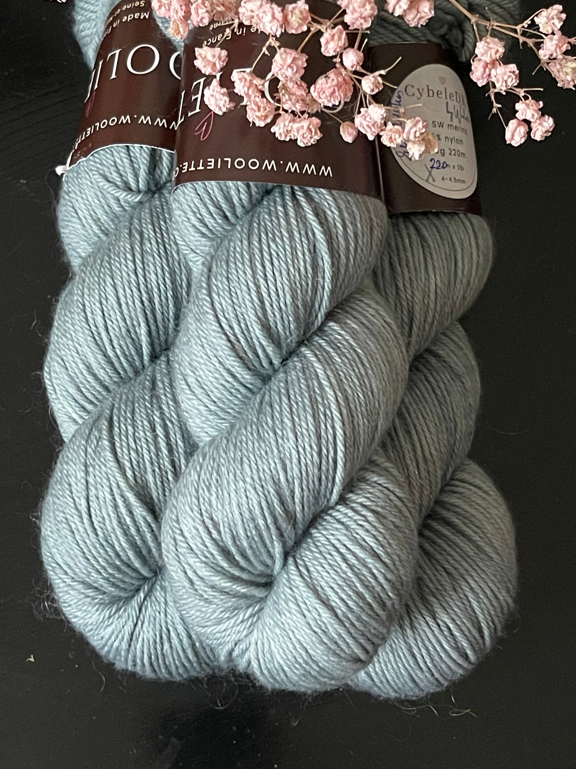 Écheveau laine mérinos nylon DK Eucalyptus 100g 220m vert-gris sauge Wooliette