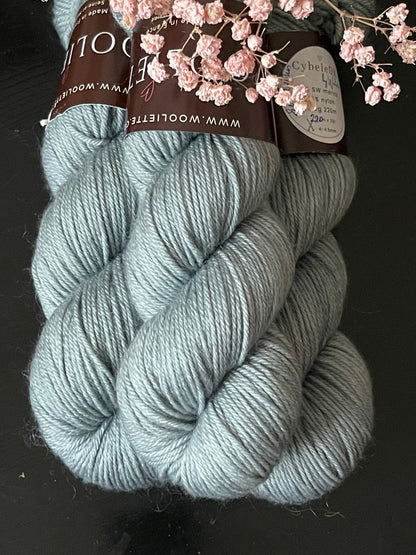 Écheveau laine mérinos nylon DK Eucalyptus 100g 220m vert-gris sauge Wooliette