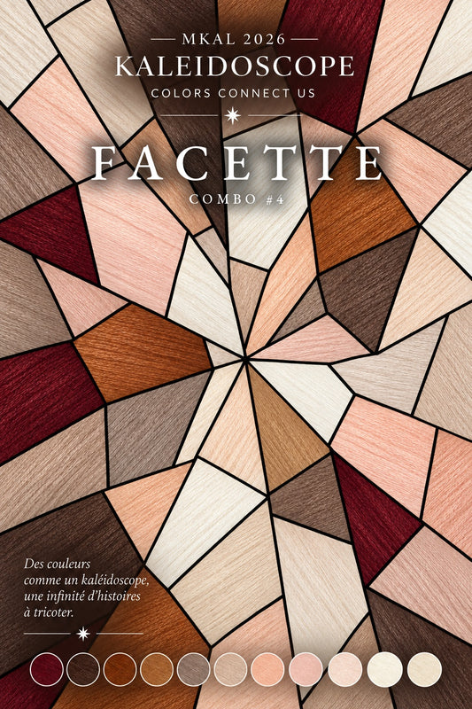 Kit MKAL 2026 Kaleidoscope Prisme combo 11 huit écheveaux laine fingering teinte main Wooliette